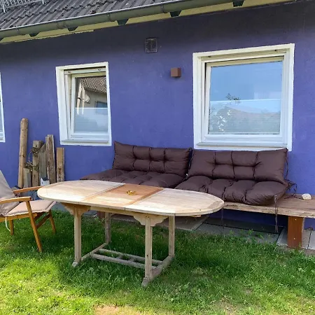 Daire Gaensebluemchen 1 Daisy 1