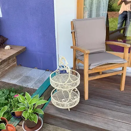 Gaensebluemchen 1 Daisy 1 * Walsdorf (Bavaria)