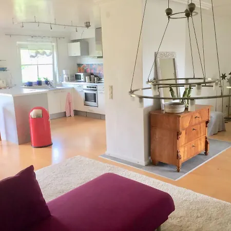 Daire Gaensebluemchen 1 Daisy 1