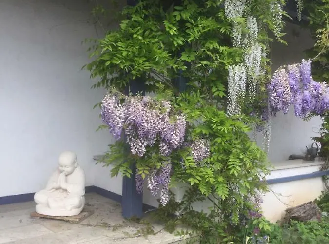 Gaensebluemchen 1 Daisy 1 Appartement Walsdorf (Bavaria)